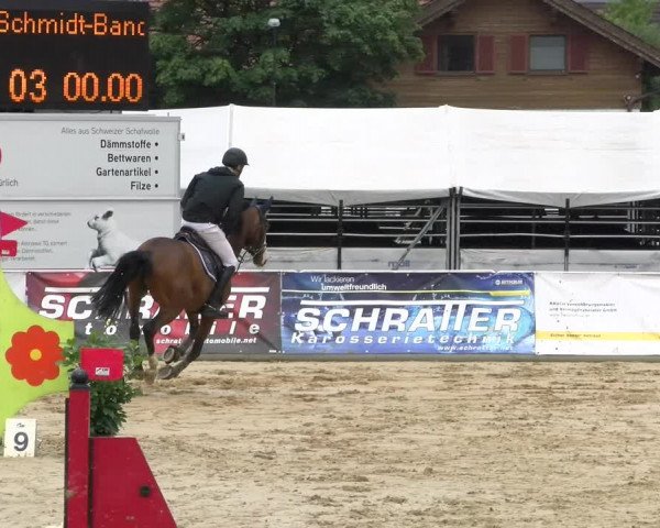 Reitturnier Rankweil 2023