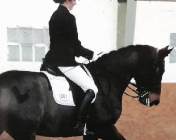 Alina Quinkenstein