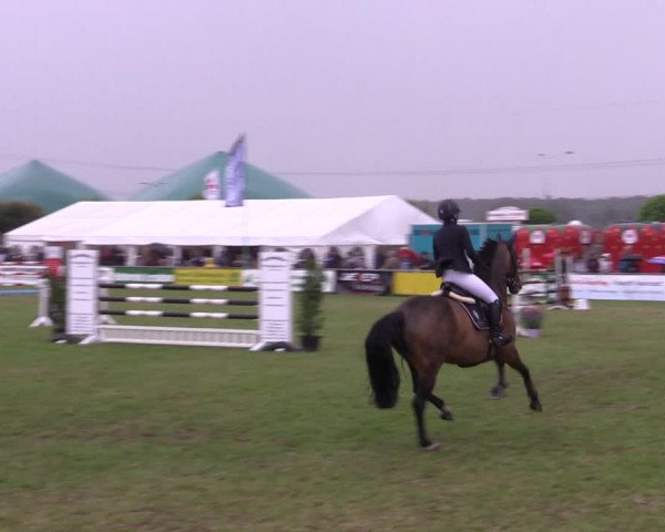 Reitturnier Dersekow 2023