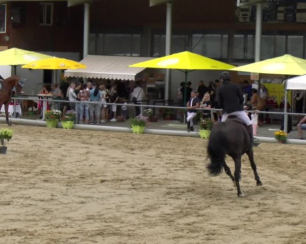Reitturnier Rankweil 2023