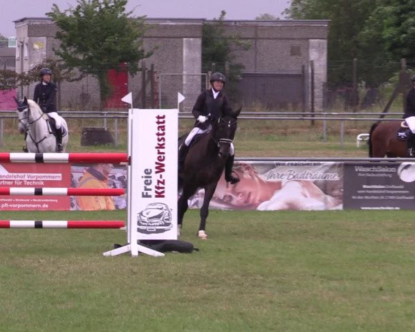 Reitturnier Dersekow 2023