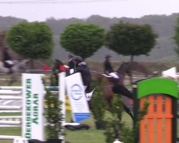 Reitturnier Dersekow 2023