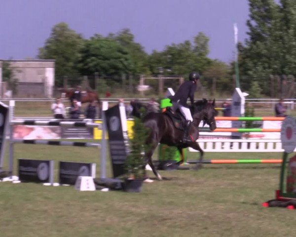Reitturnier Dersekow 2023