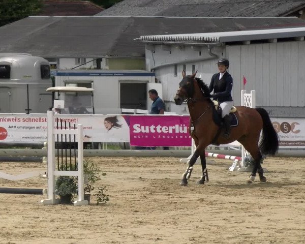 Reitturnier Rankweil 2023