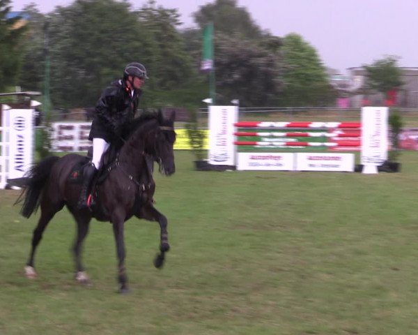Reitturnier Dersekow 2023