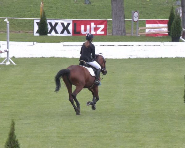 Reitturnier Wien-Freudenau 2023