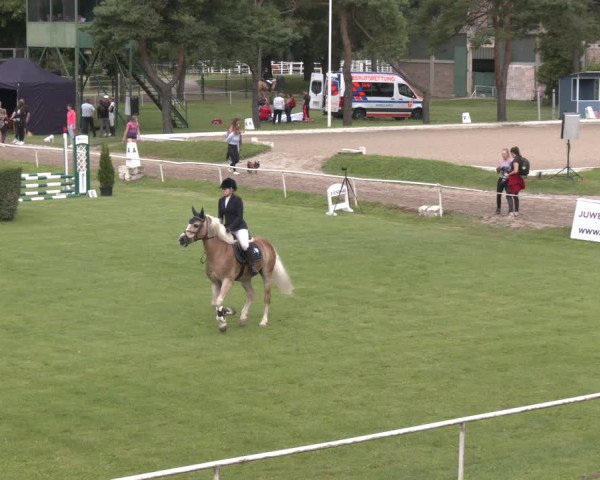 Reitturnier Wien-Freudenau 2023