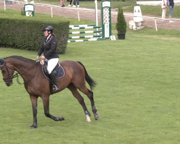 Reitturnier Wien-Freudenau 2023