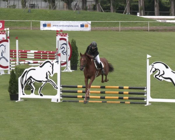 Reitturnier Wien-Freudenau 2023