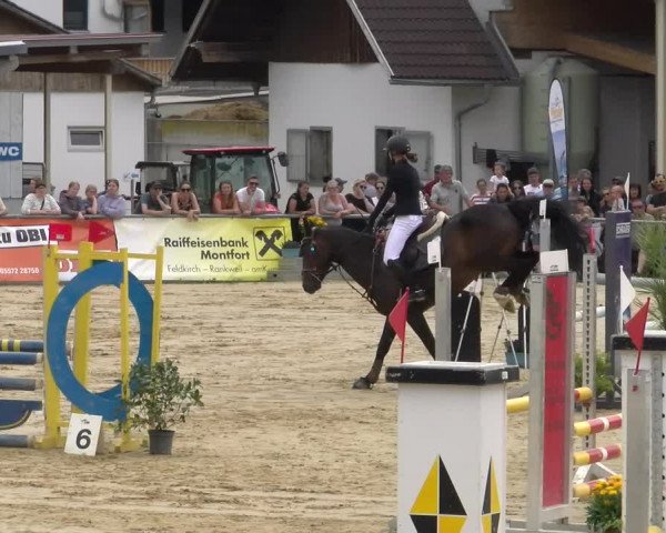 Reitturnier Rankweil 2023