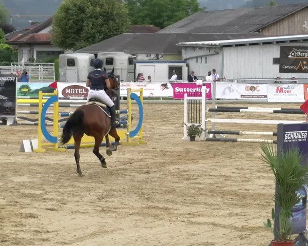 Reitturnier Rankweil 2023
