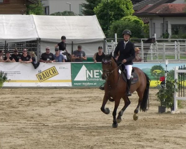 Reitturnier Rankweil 2023