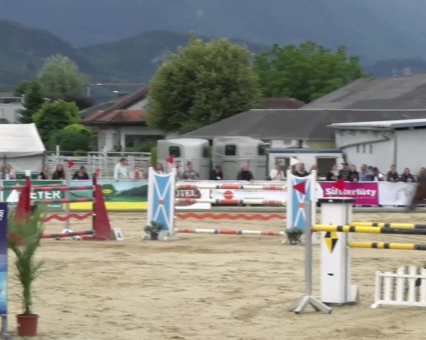 Reitturnier Rankweil 2023