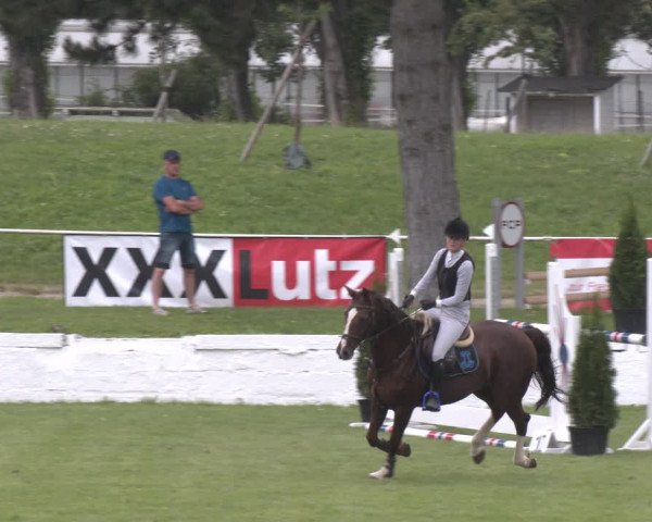 Reitturnier Wien-Freudenau 2023
