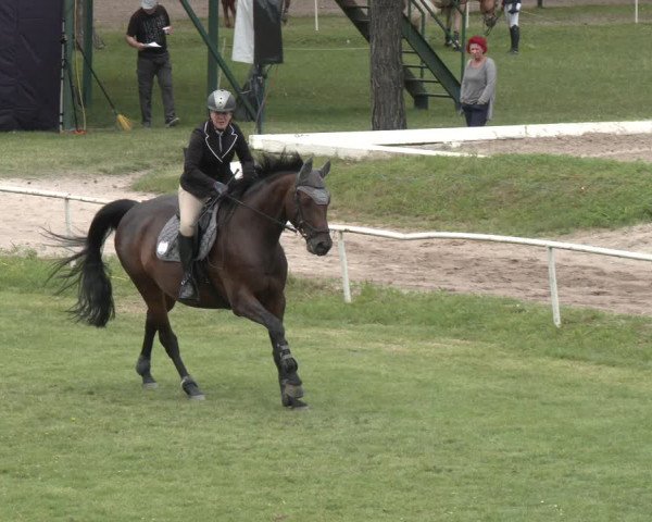 Reitturnier Wien-Freudenau 2023