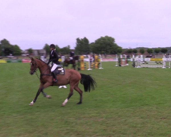 Reitturnier Dersekow 2023