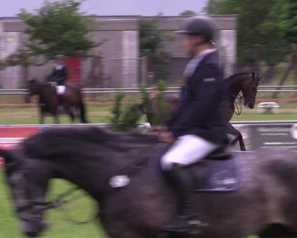Reitturnier Dersekow 2023