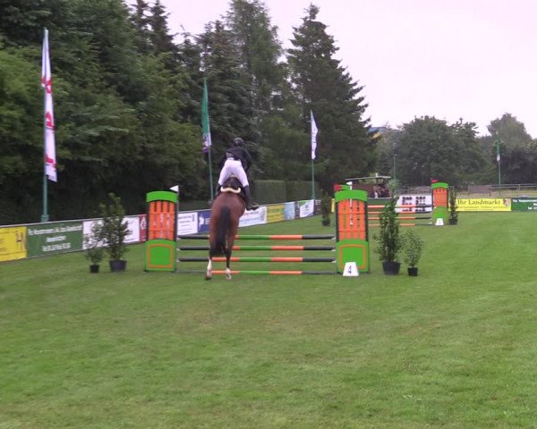 Reitturnier Dersekow 2023