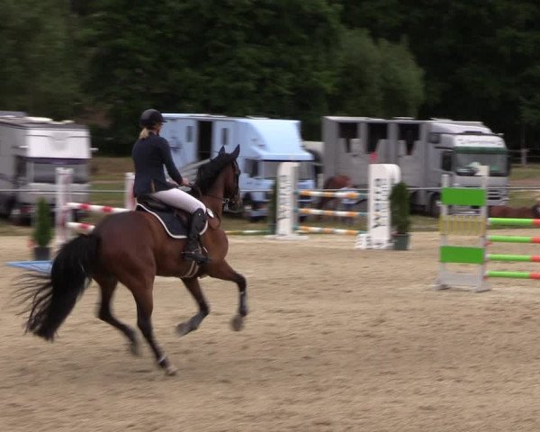 Reitturnier Bad Liebenstein/Sorga 2023