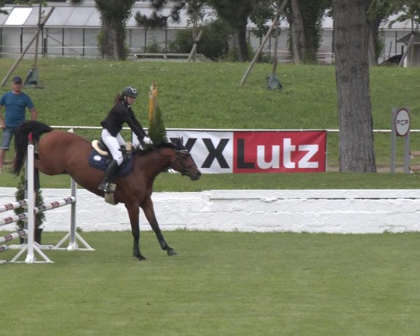 Reitturnier Wien-Freudenau 2023