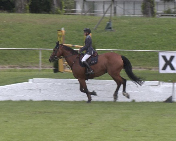 Reitturnier Wien-Freudenau 2023