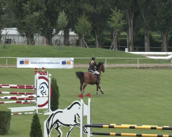 Reitturnier Wien-Freudenau 2023