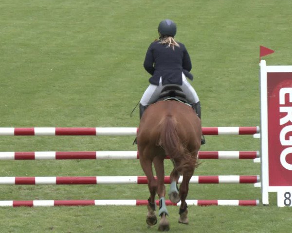 Reitturnier Wien-Freudenau 2023