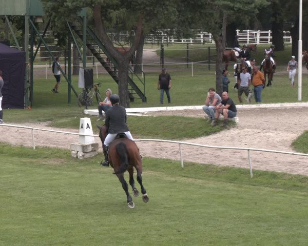 Reitturnier Wien-Freudenau 2023