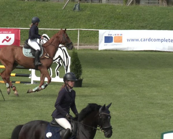 Reitturnier Wien-Freudenau 2023