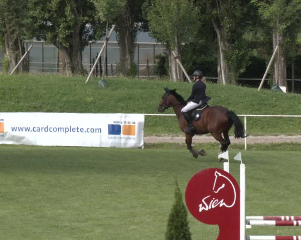 Reitturnier Wien-Freudenau 2023