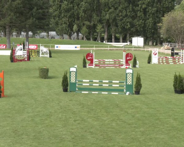 Reitturnier Wien-Freudenau 2023