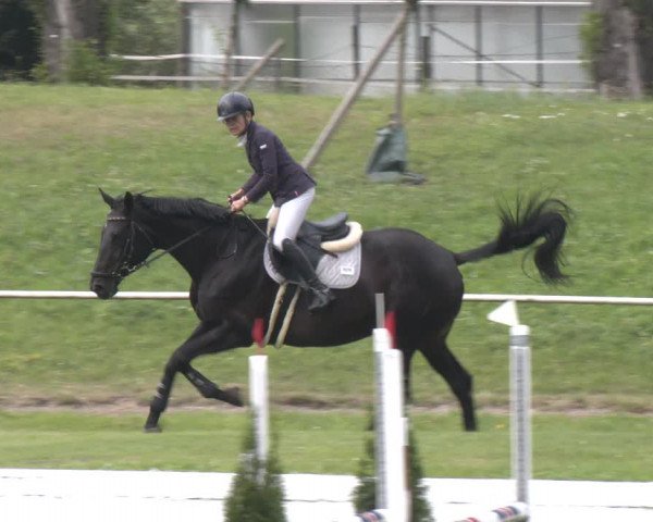 Reitturnier Wien-Freudenau 2023