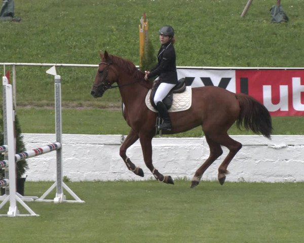 Reitturnier Wien-Freudenau 2023
