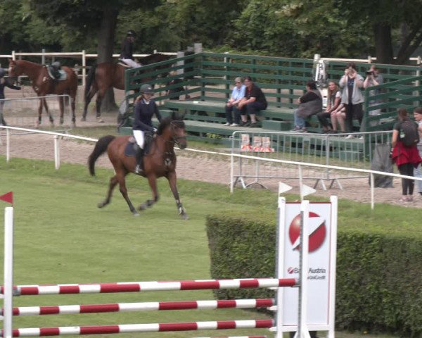 Reitturnier Wien-Freudenau 2023
