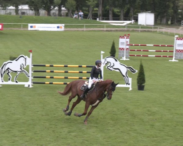 Reitturnier Wien-Freudenau 2023