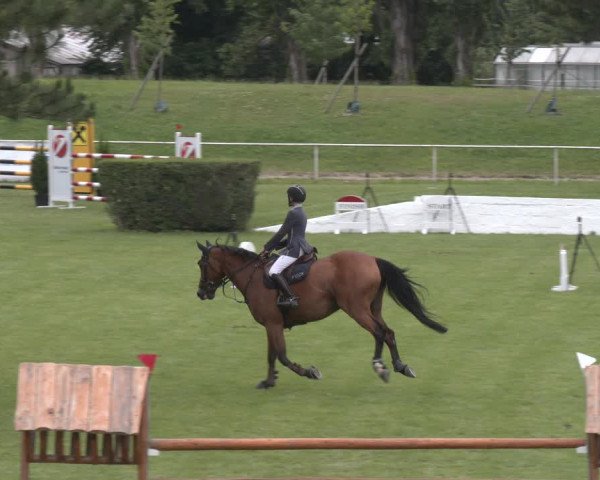 Reitturnier Wien-Freudenau 2023