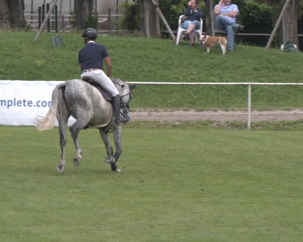Reitturnier Wien-Freudenau 2023