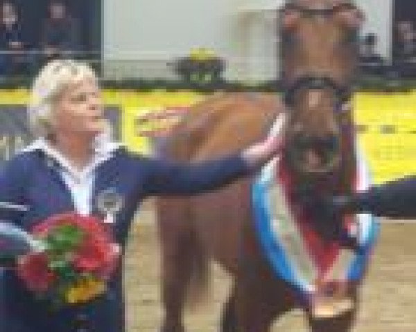 Patricia Tlatlik