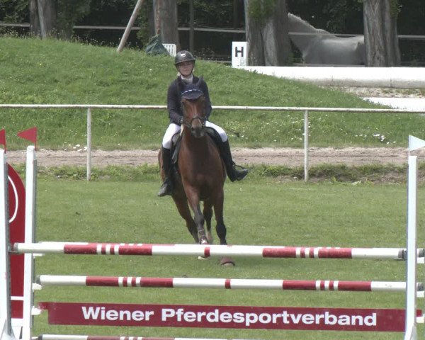 Reitturnier Wien-Freudenau 2023