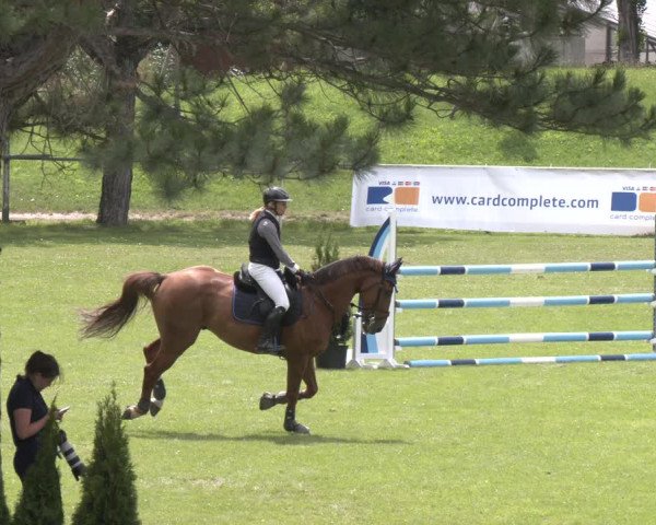 Reitturnier Wien-Freudenau 2023