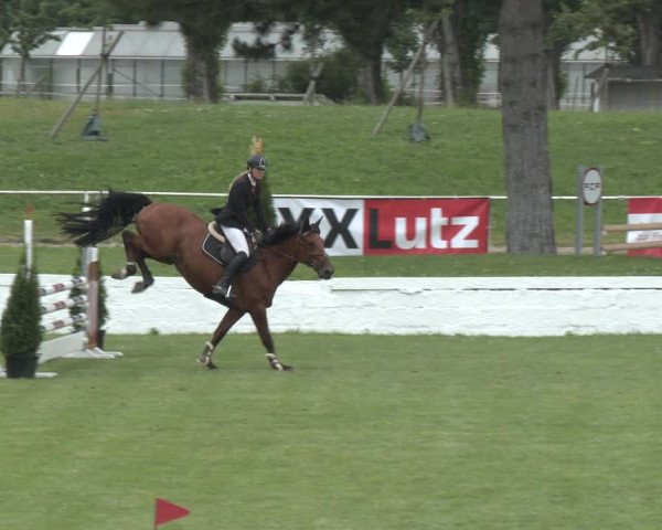 Reitturnier Wien-Freudenau 2023