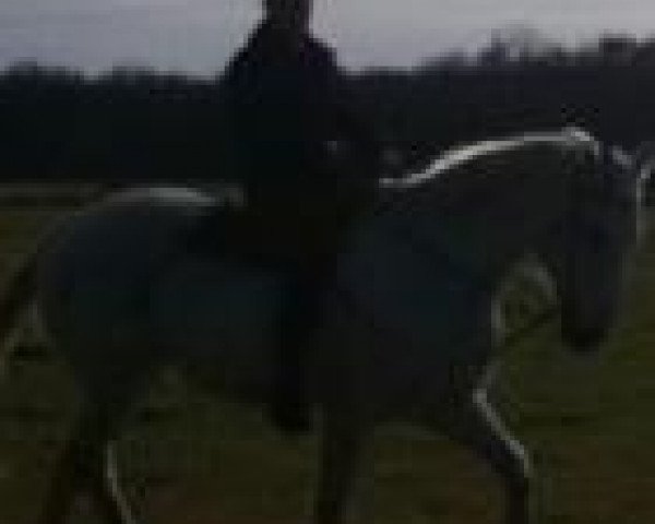 R Seefeld