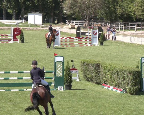Reitturnier Wien-Freudenau 2023