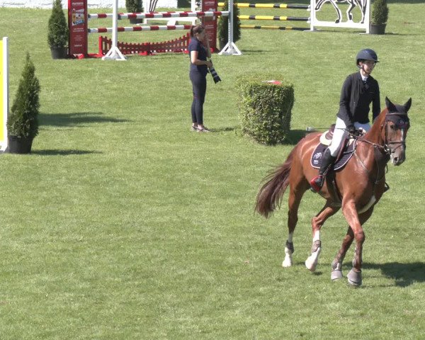Reitturnier Wien-Freudenau 2023