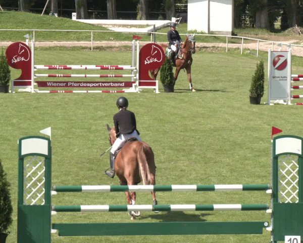 Reitturnier Wien-Freudenau 2023