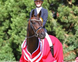 broodmare Dancira Zfk CH (Swiss Warmblood, 2018, from Dancier)