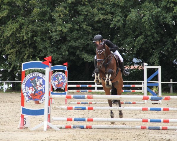jumper Akito B 4 (Westphalian, 2017, from A La Carte NRW)