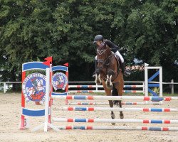 jumper Akito B 4 (Westphalian, 2017, from A La Carte NRW)