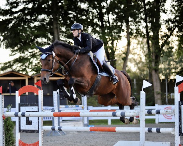 jumper Rosalie (Holsteiner, 2015, from Sandro Boy)