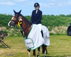 jumper Libelle P (Holsteiner, 2018, from Casall Ask)